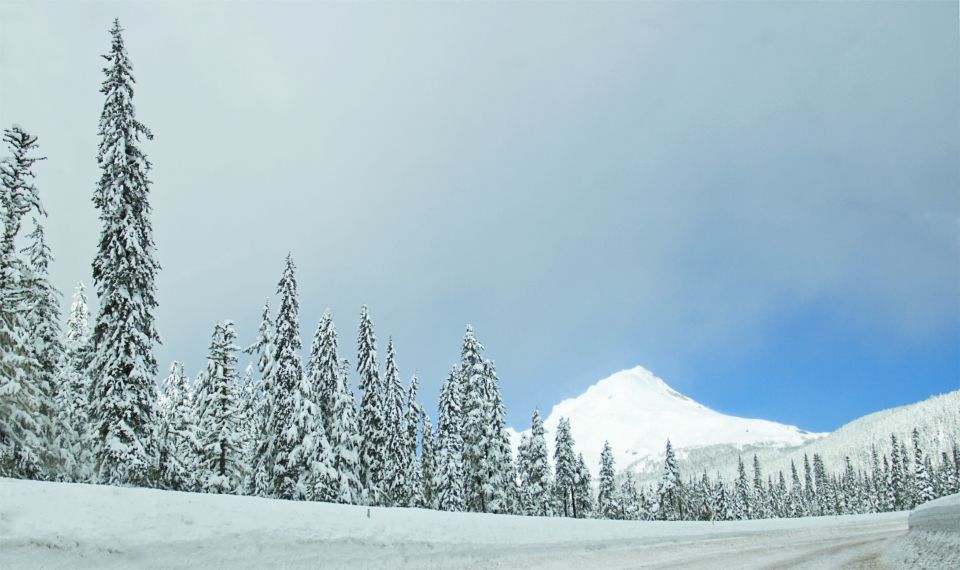 The property in winter, under snow